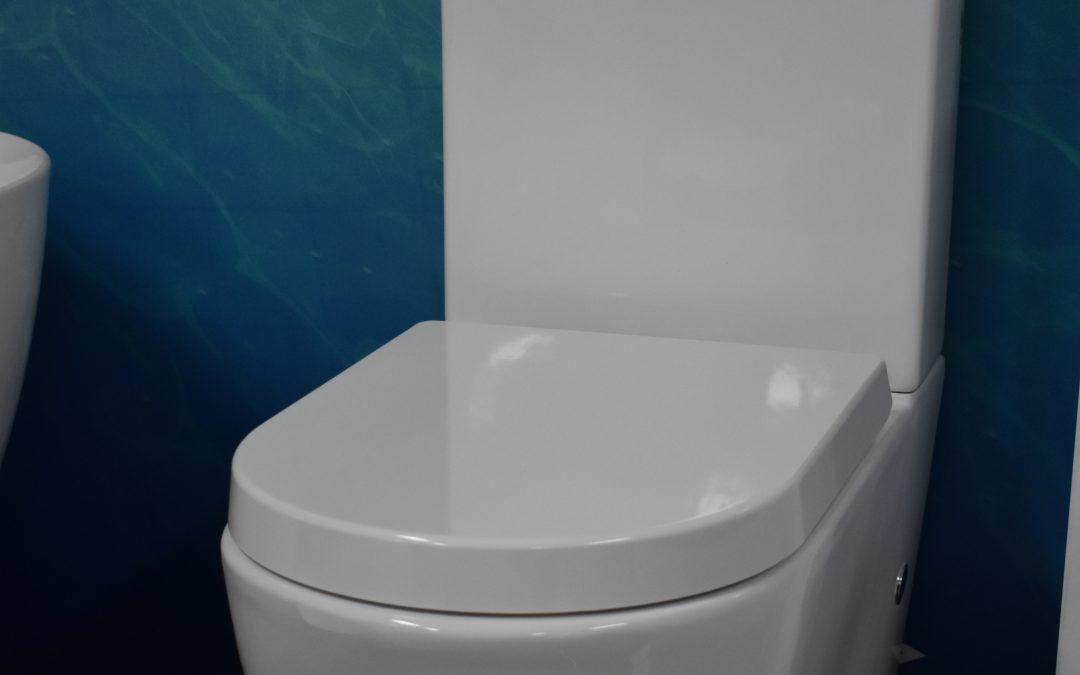 Leaking Toilet: Causes and Fixes